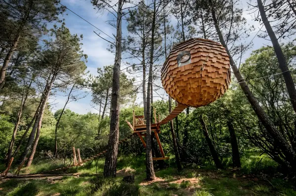 Les 5 plus belles cabanes dans les arbres en Bretagne