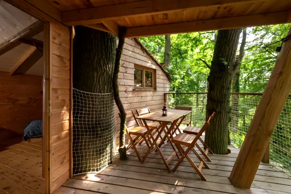 Cabanes dans les arbres en Normandie : guide (2025)